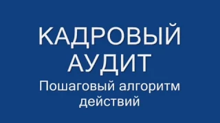 Кадровый аудит. Пошаговый алгоритм действий.