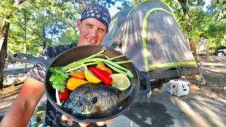 Catch Cook Camp Panfish Bonanza!