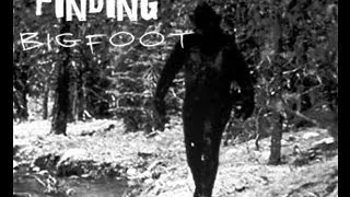Finding BigFoot (Short Film)