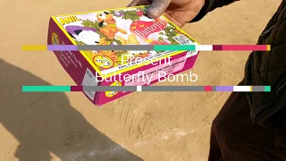 Diwali crackers 2018 Butterfly bomb | firecrackers testing in Xplosive Xperiment (hindi)|