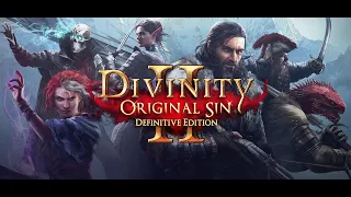 DIVINITY ORIGINAL SIN 2 ПРОХОЖДЕНИЕ #1 СОЗДАНИЕ ПЕРСОНАЖЕЙ.НАЧАЛО ПУТИ.