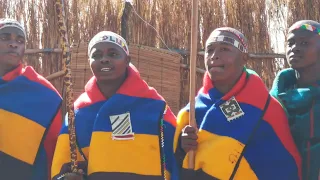 Amasokana||Maphogo|| Ndebele -Zeskethuu||2022||❤💛💙🤎(moedverloren)