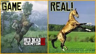 Top 5 BEAUTIFUL horse breeds in REAL LIFE! In Red Dead Online