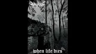 Doodsmist - When Life dies