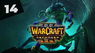 Warcraft 3 Reforged Часть 14 Нежить Прохождение кампании