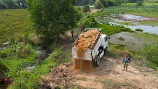 Greatest Start Is New Project Making Road On Water​ Smooth Running Process Komatsu D31P Dozer Trucks