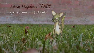 Juliet by Cavetown (Official Audio) | Animal Kingdom