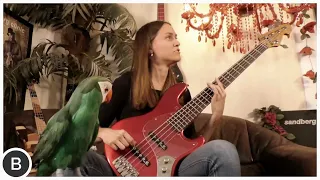 a new SANDBERG BASS for JULIA HOFER!