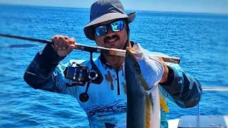 Ep 74 - Spinning for yellowtail in St helena Bay