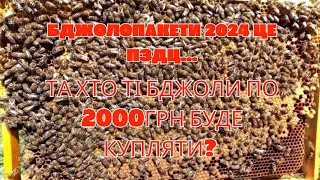 Та хто ті бджолопакети буде купляти по 2000грн. Ціна на бджолопакети 2024р. Бджоли дорогі!