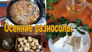 Рецепт Сашиного джема//Как там голуби//Ночь скрывает следы....