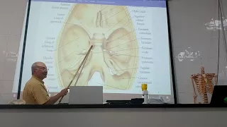 Anatomy of head & neck 13 ( Skull , part 13 , norma basalis interna ) , by Dr. Wahdan