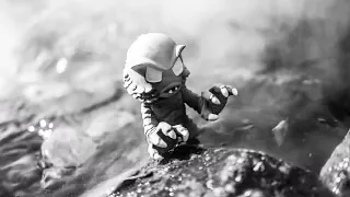 The Creature From The Black Lagoon (1954)