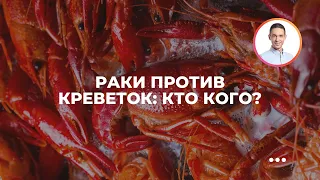 Раки против креветок: кто кого?