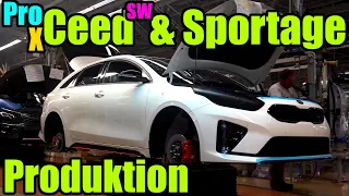 Alles Wissenswerte zur Produktion des Kia Ceed Ceed SW ProCeed XCeed und Sportage in Zilina/Slowakei