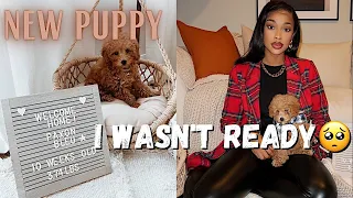 First 24HRS & Days With A New Puppy! Vet Visit,Potty Training , Failed Purchases+ More