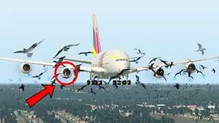 A380 Pilot Got Fired After This Bird Strike Emergency Landing | XP11