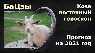 БАЦЗЫ. Прогноз на 2021 год быка для людей,  рожденных  в год КОЗЫ