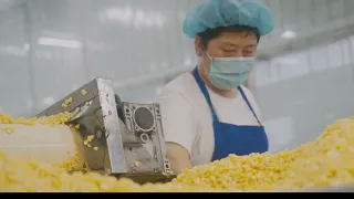 canned corn factory capacity show