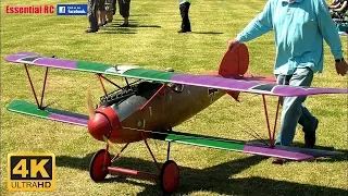 DAWN PATROL Large Scale WW1 SCOUTS and FIGHTERS (RC radio controlled WARBIRDS)