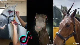 THE MOST BEAUTIFUL HORSE TikTok Compilation 2022 #40