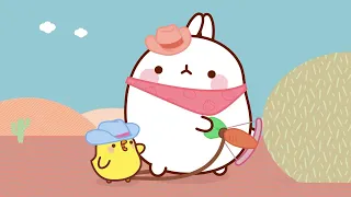 Molang - The Campers | Cartoon For Kids