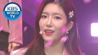 WJSN (우주소녀) - As You Wish (이루리) [Music Bank / 2019 12.06]