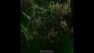 Fetid Bowel Infestation | Born Into Darkness FULL 2021