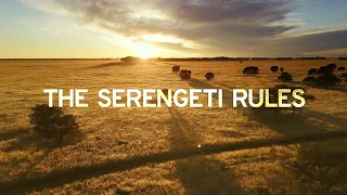 The Serengeti Rules (2019) | Trailer HD | About Life on Our Planet | Documentary Film