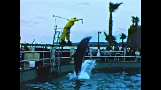 1965 8mm Film Home Movie - SEA WORLD, San Diego CA