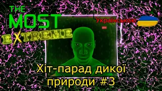 Хіт-парад дикої природи | Українська озвучка🇺🇦 | Епізод 3