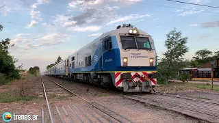 Tren 563 a Junín, con la CKD8G0004, por Cortínez • Trenes de Argentina (IG @trenes.ar)