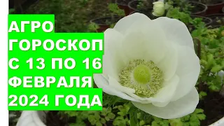 Агрогороскоп с 13 по 16 февраля 2024 года Agrohoroscope from February 13 to 16, 2024