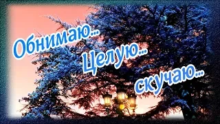 Обнимаю... целую... скучаю! Добрый вечер, Любимочка!