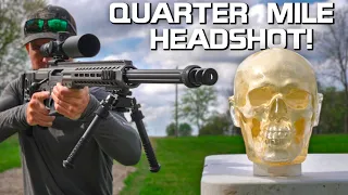 How Effective is a Quarter Mile Headshot??? (338 Lapua Magnum)