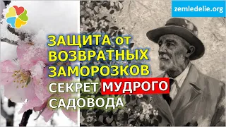 #21 Простейший рецепт защиты сада от возвратных весенних заморозков