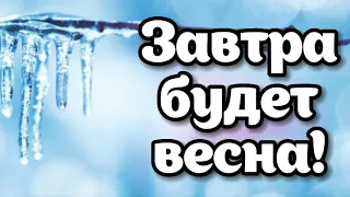 С Последним днем зимы! Музыкальная открытка.