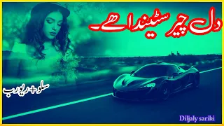 di_cher_stinda_hi |💔 دل چیرسٹیندا ھے |sariki song|slow+reverb