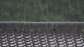 【雨の音】田舎の瓦屋根に降る雨音でぐっすり眠る【Nature Rain Sounds 1h】