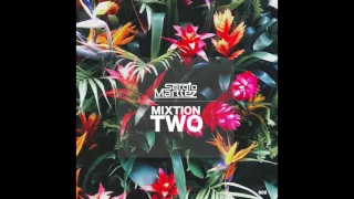 Sergio Marttez - MIXTION 2 | Nu Disco & Indie Dance House Music
