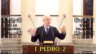 Santo Culto a Deus (Video) - QUI 09/11/23 10:00 - PALAVRA I PEDRO 2