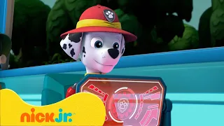 Pups Stop the Cheating Cheetah! w/ Ryder, Chase & Marshall | PAW Patrol | Nick Jr. UK