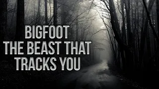 The Beast That Tracks You in the Dark