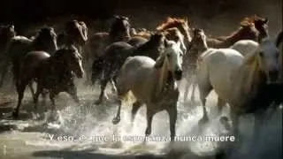 13 Horses - Alexander Rybak [Sub Español] + Video