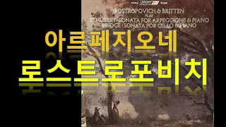 슈베르트 아르페지오네, 로스트로포비치 연주 LP