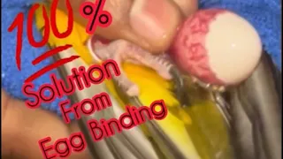 How to save an egg bound bird | Egg Binding | Egg Binding in Parrots | #birds #eggbinding #conure