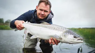 Summer Fishing For Salmon In Denmark - Catching A Mid-Season Birthday Salmon!