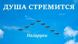 ДУША СТРЕМИТСЯ В ГОЛУБЫЕ ДАЛИ. Назаруки.