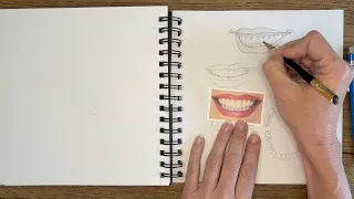 The Right Way to Draw Teeth from a Medical Illustrator