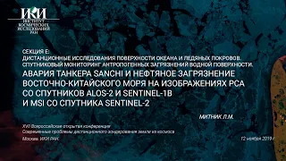 XVII.E.12 - Авария танкера Sanchi и нефтяное загрязнение Восточно-Китайского моря - Митник Л.М.